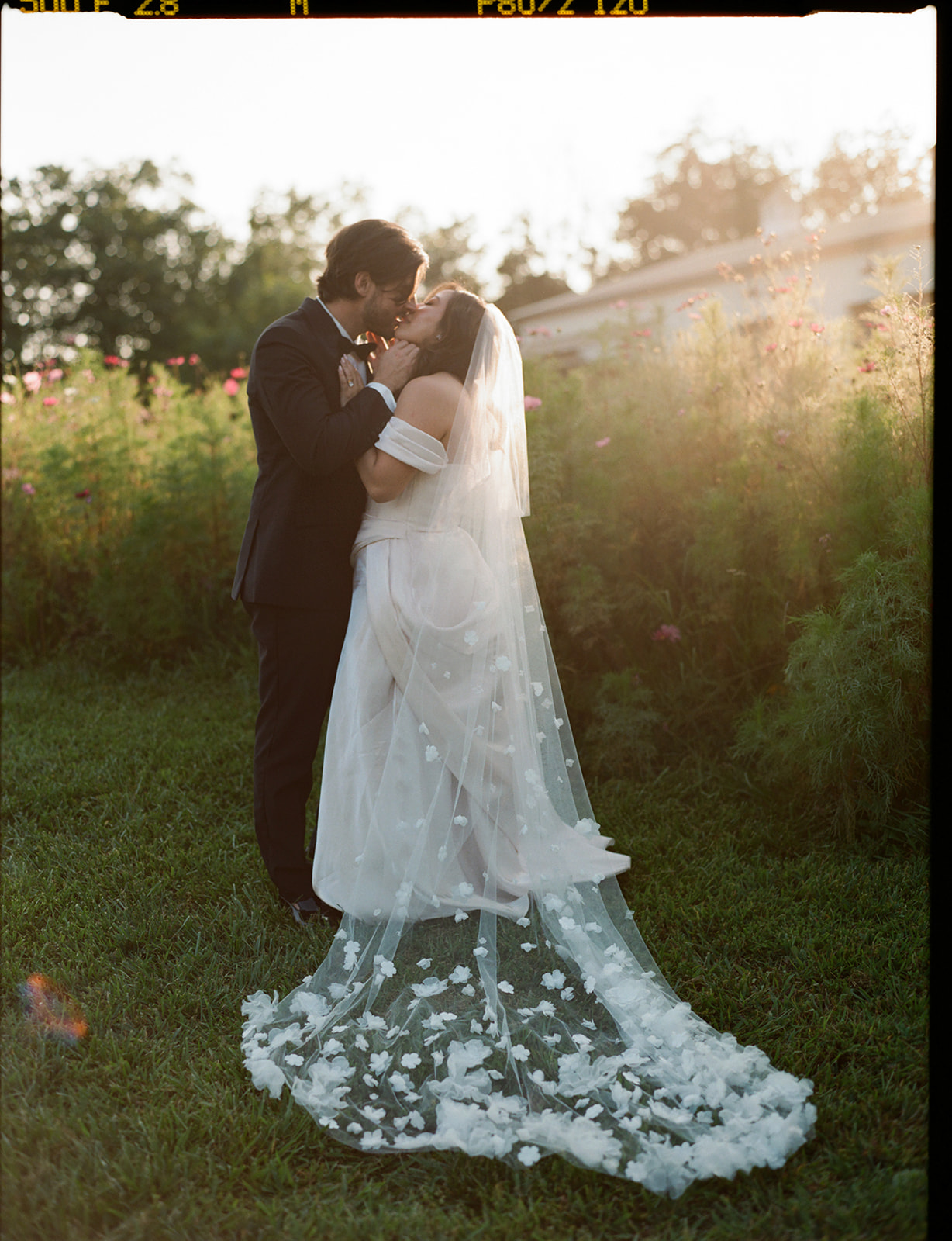 Golden Hour Portrait, Bride and Groom Kissing Bride and groom kiss hand-in-hand through sunlit wildflowers during golden hour.